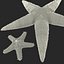 Starfishes 3D Models Collection