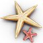 Starfishes 3D Models Collection