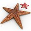 Starfishes 3D Models Collection