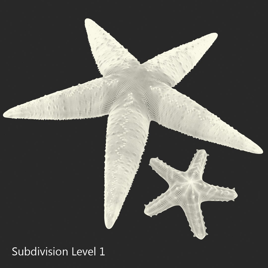 3d model of starfishes set red https://p.turbosquid.com/ts-thumb/bp/hJnV6f/PEdH8nbW/starfishescollection3dmodels34/jpg/1464952515/1920x1080/fit_q87/cdda7ecbeac00e08c241e65593791ff0363ac74e/starfishescollection3dmodels34.jpg