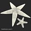 Starfishes 3D Models Collection