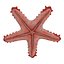 Starfishes 3D Models Collection