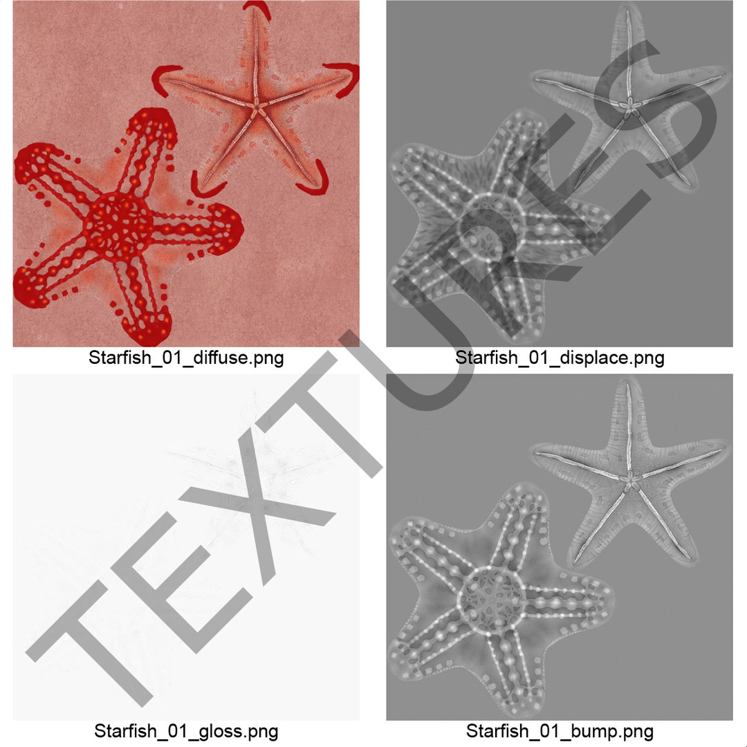 3d model of starfishes set red https://p.turbosquid.com/ts-thumb/bp/hJnV6f/VUu9deum/starfishescollection3dmodels40/jpg/1464952516/1920x1080/fit_q87/6a4d57d197f9b5bf4a44a0d387c51ee5a963296d/starfishescollection3dmodels40.jpg