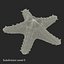 Starfishes 3D Models Collection