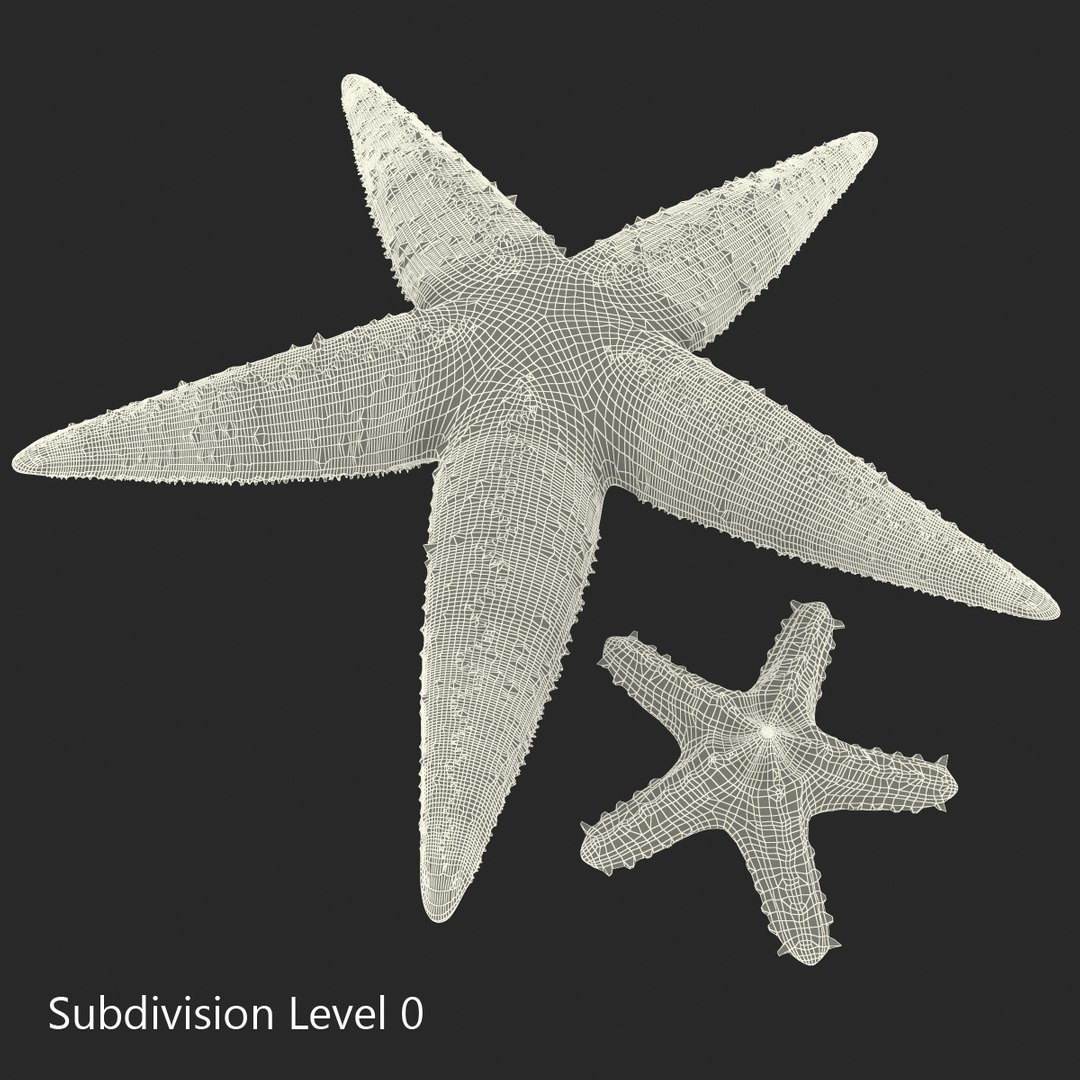 3d model of starfishes set red https://p.turbosquid.com/ts-thumb/bp/hJnV6f/ZZ5OASEm/starfishescollection3dmodels33/jpg/1464952515/1920x1080/fit_q87/d12fcf13ffc34e54bb374c23acb5b72bc36f32c0/starfishescollection3dmodels33.jpg