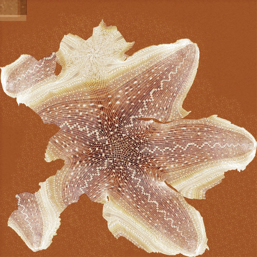3d model of starfishes set red https://p.turbosquid.com/ts-thumb/bp/hJnV6f/ghhGUUVE/starfishescollection3dmodels41/jpg/1464952517/1920x1080/fit_q87/1a0b8b5d7947b5c2d96cb6932a92710cbfac388e/starfishescollection3dmodels41.jpg
