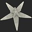 Starfishes 3D Models Collection