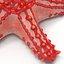 Starfishes 3D Models Collection