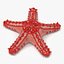 Starfishes 3D Models Collection