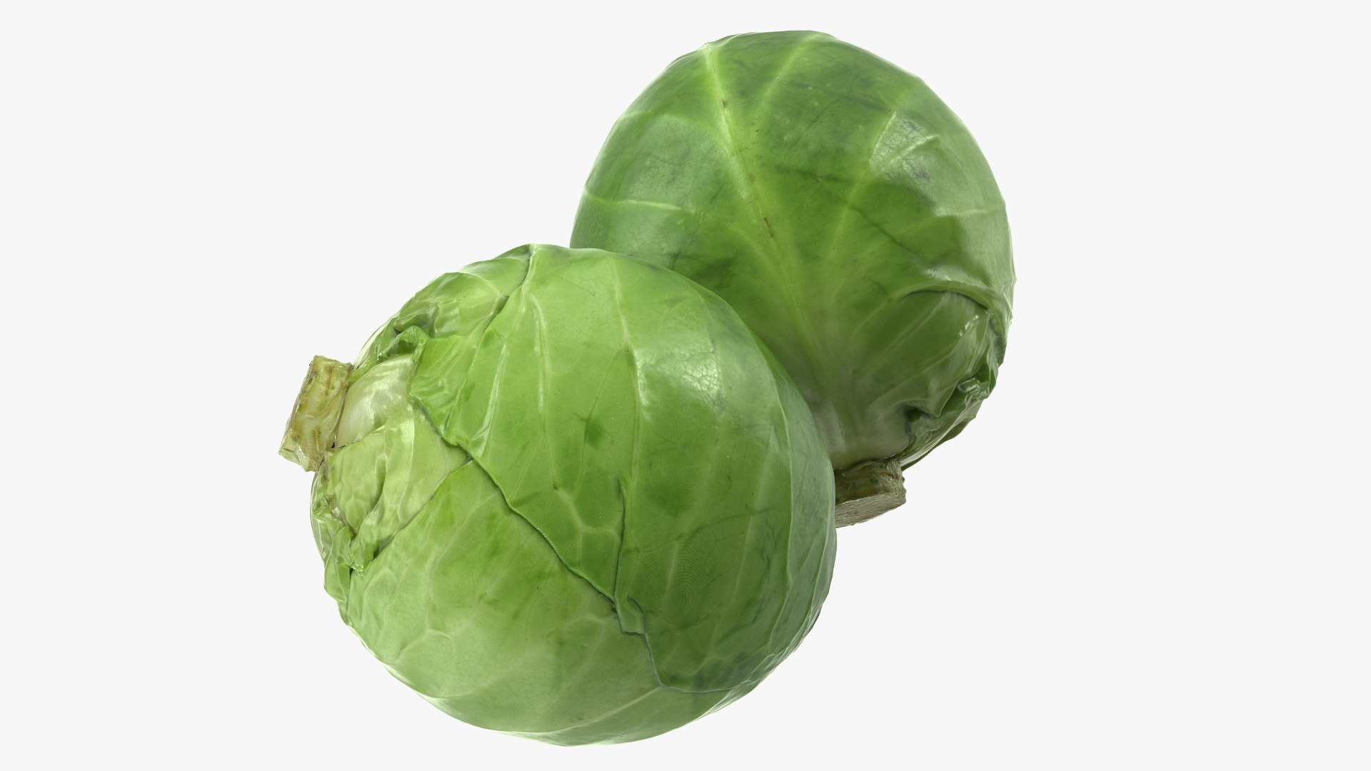 3D model Fresh Vegetables on Display Rack https://p.turbosquid.com/ts-thumb/bp/j4NMqZ/Dt/freshvegetablesondisplayrackmb3dmodel029/jpg/1719974027/1920x1080/fit_q87/47b6e064be3b3f4892b67098fb76b1301552aecd/freshvegetablesondisplayrackmb3dmodel029.jpg