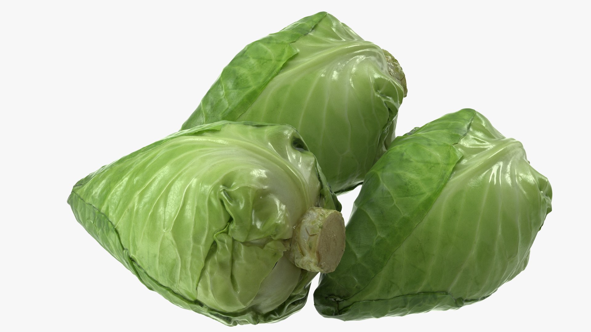 3D model Fresh Vegetables on Display Rack https://p.turbosquid.com/ts-thumb/bp/j4NMqZ/lV/freshvegetablesondisplayrackmb3dmodel025/jpg/1719974003/1920x1080/fit_q87/9d8f119405fad9baeb0284b543df77a80b3baf2b/freshvegetablesondisplayrackmb3dmodel025.jpg