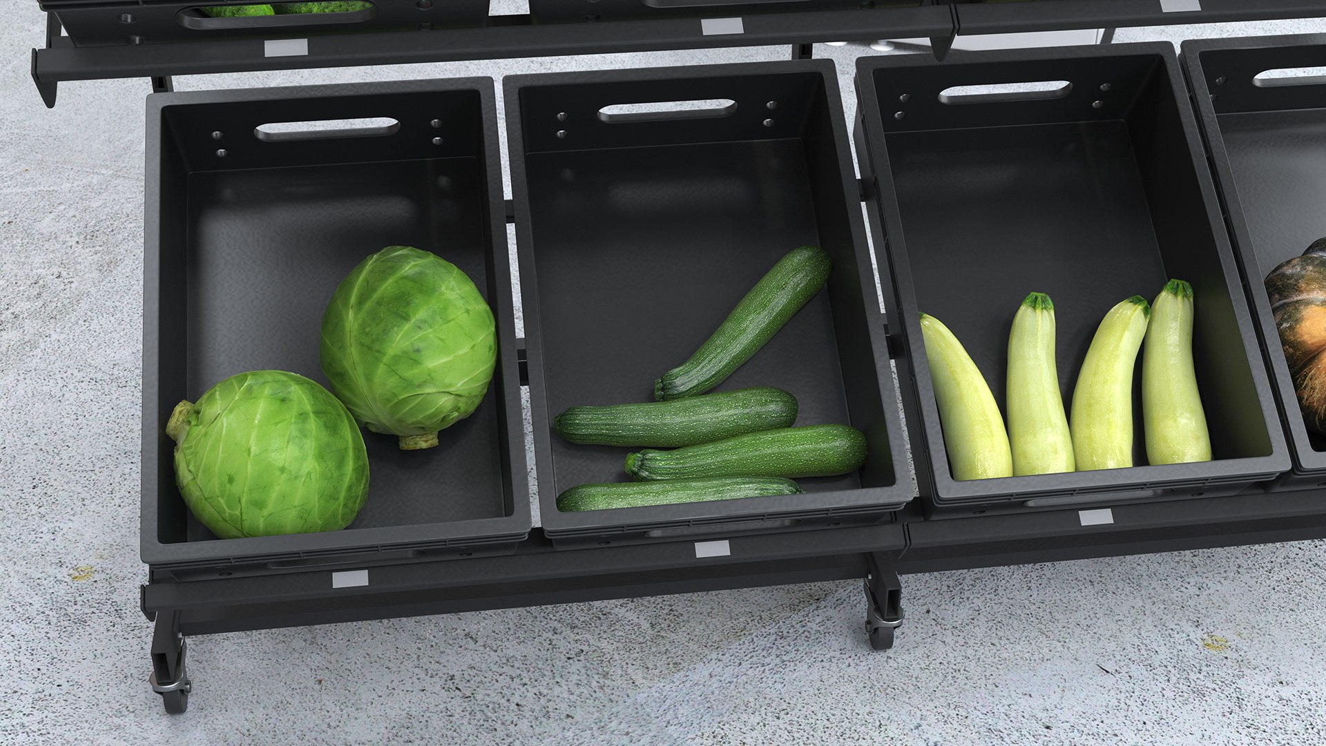 3D model Fresh Vegetables on Display Rack https://p.turbosquid.com/ts-thumb/bp/j4NMqZ/w0/freshvegetablesondisplayrackmb3dmodel007/jpg/1719973894/1920x1080/fit_q87/23730aca1fa985f8463cafe4e21f2daf201fdd8a/freshvegetablesondisplayrackmb3dmodel007.jpg
