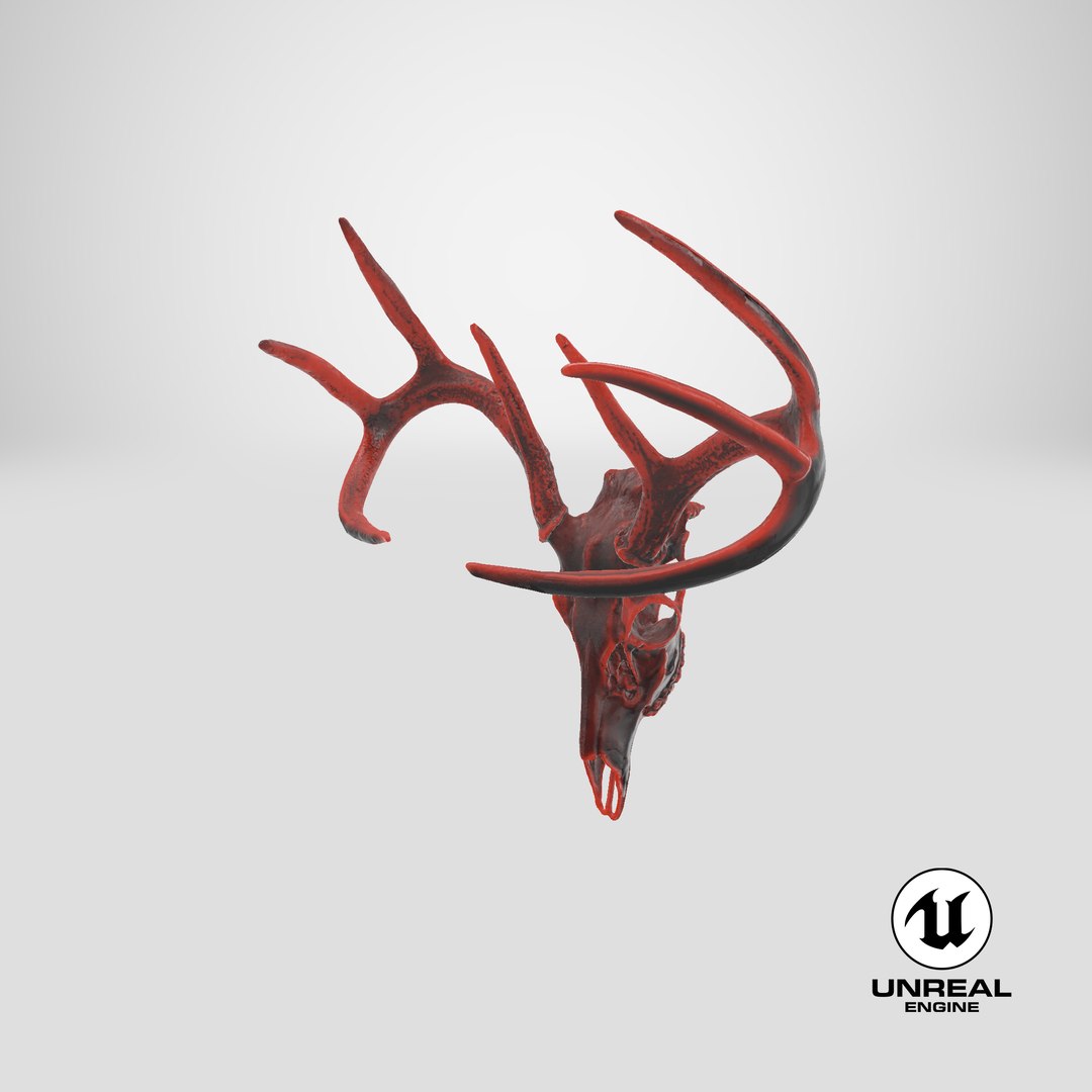 3D Deer Skull Sci-fi Hot model https://p.turbosquid.com/ts-thumb/bp/oxM8A4/hU/stemcell_unreal_render/png/1652374878/1920x1080/fit_q87/ba851a9fbd5b699df2b3f32c5b441df22e0d2368/stemcell_unreal_render.jpg
