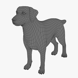 3d dog base mesh model