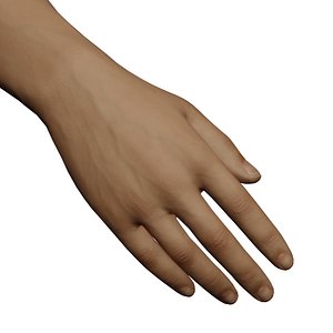Male Right Hand Rigged