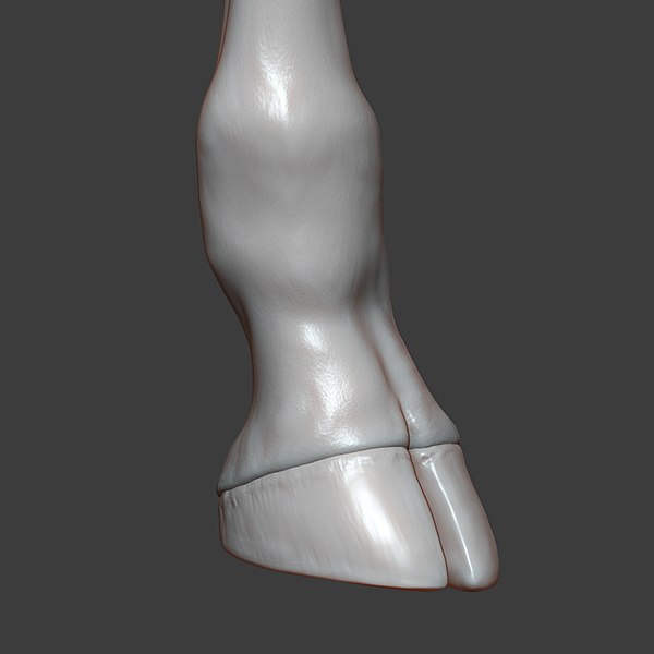 modelo 3d Escultura Highpoly de pezuña de jirafa - TurboSquid 1813917
