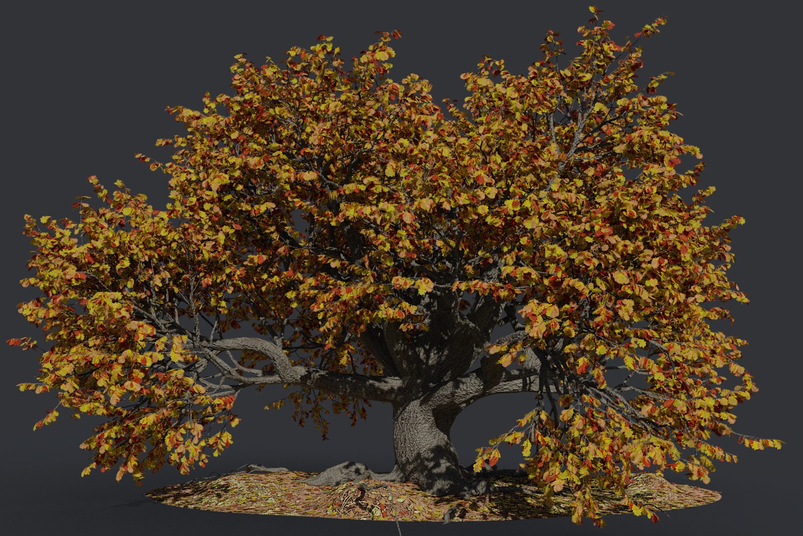 Oak Autumn 5 Tree 3D Model - TurboSquid 1379181