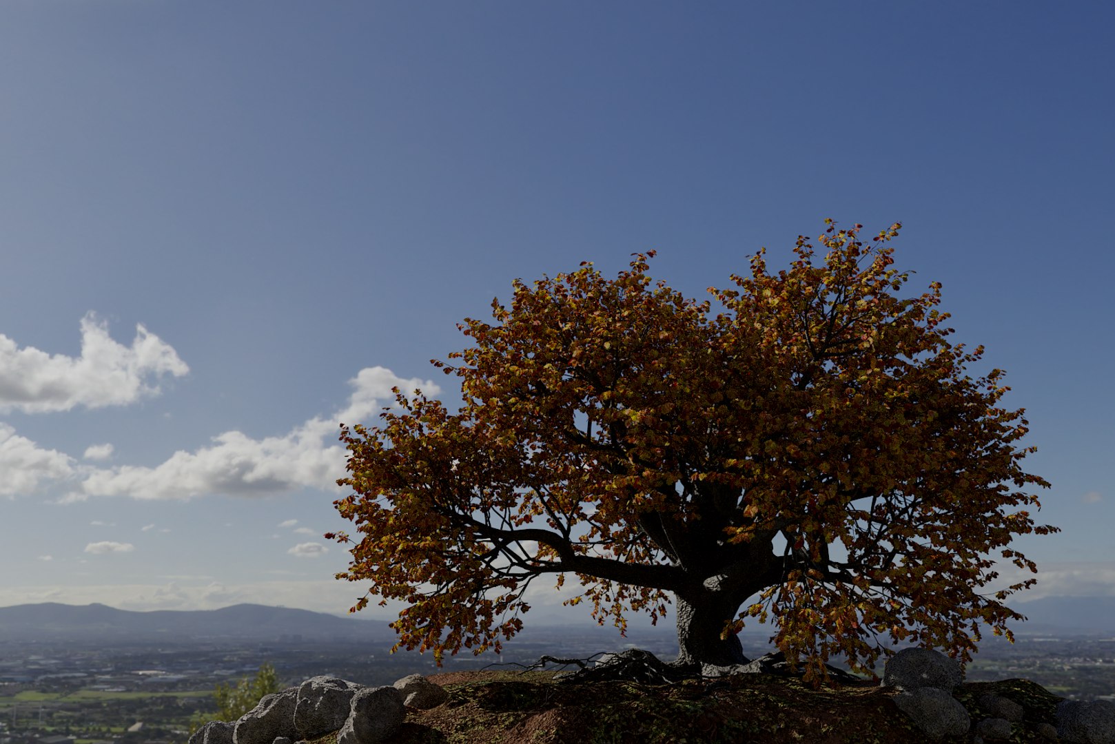 Oak Autumn 5 Tree 3D Model - TurboSquid 1379181