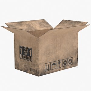 Cardboard Box 3 Worn Open
