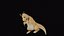POKEMON Dragonite Animationsspiel bereits