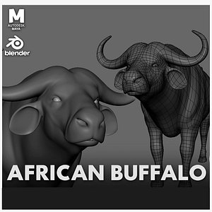 African Buffalo Basemesh model