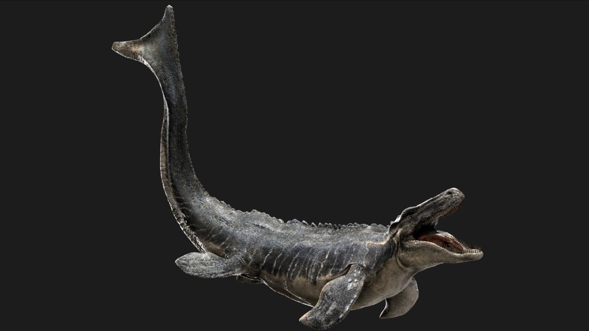 3D Mosa saurus Rigged 3D https://p.turbosquid.com/ts-thumb/br/1KFRuc/08/022/jpg/1755510088/1920x1080/fit_q87/8db2bc6c03dfcfbd44a6a3c6bb48426e559b3526/022.jpg