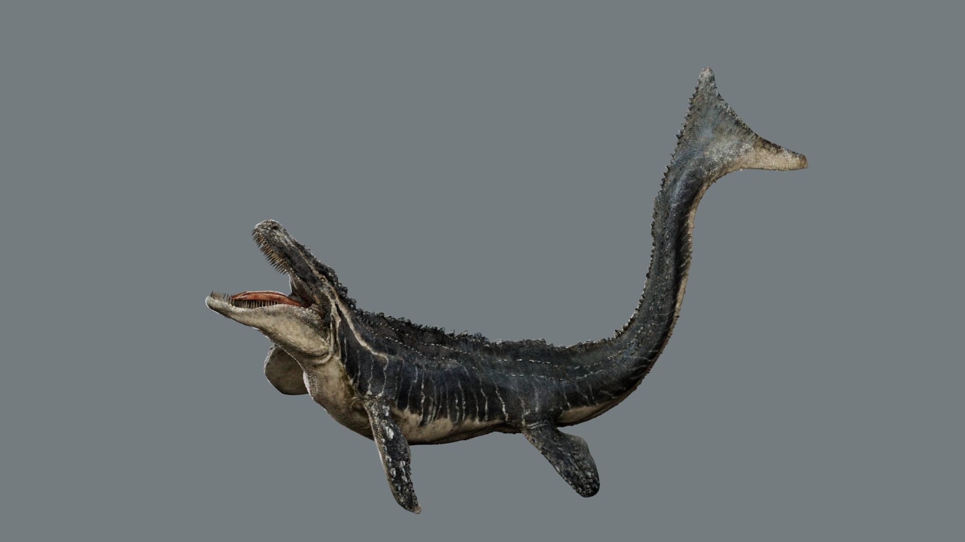 3D Mosa saurus Rigged 3D https://p.turbosquid.com/ts-thumb/br/1KFRuc/3E/mosasaurus/jpg/1755510352/1920x1080/turn_fit_q99/0f6ebc2834d67228e4da158e68a45c9561ee645a/mosasaurus-1.jpg
