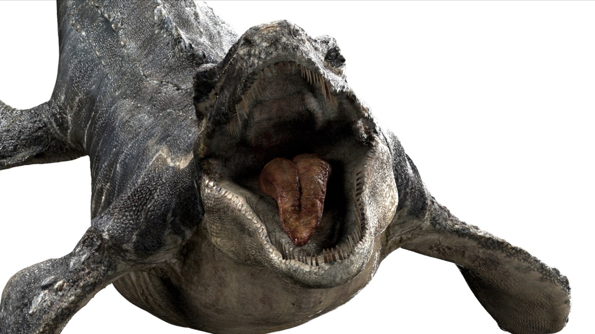 3D Mosa saurus Rigged 3D https://p.turbosquid.com/ts-thumb/br/1KFRuc/4P/04/jpg/1755510090/1920x1080/fit_q87/3cd459002affef967f41c12db0a1497f58f3e765/04.jpg