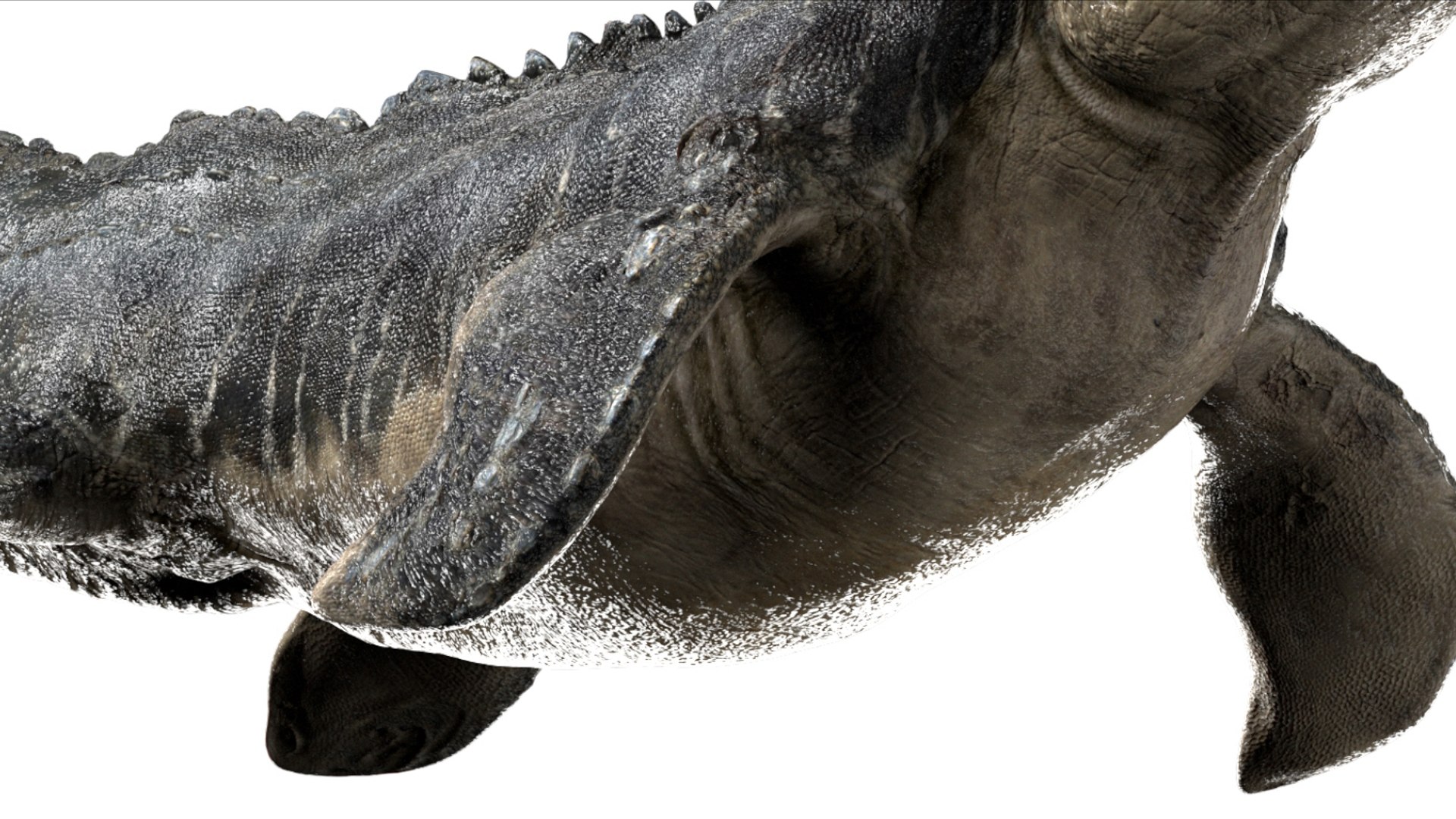 3D Mosa saurus Rigged 3D https://p.turbosquid.com/ts-thumb/br/1KFRuc/RD/10/jpg/1755510093/1920x1080/fit_q87/3a2fe629f8490fe1594a8a740f8f8a688a343021/10.jpg