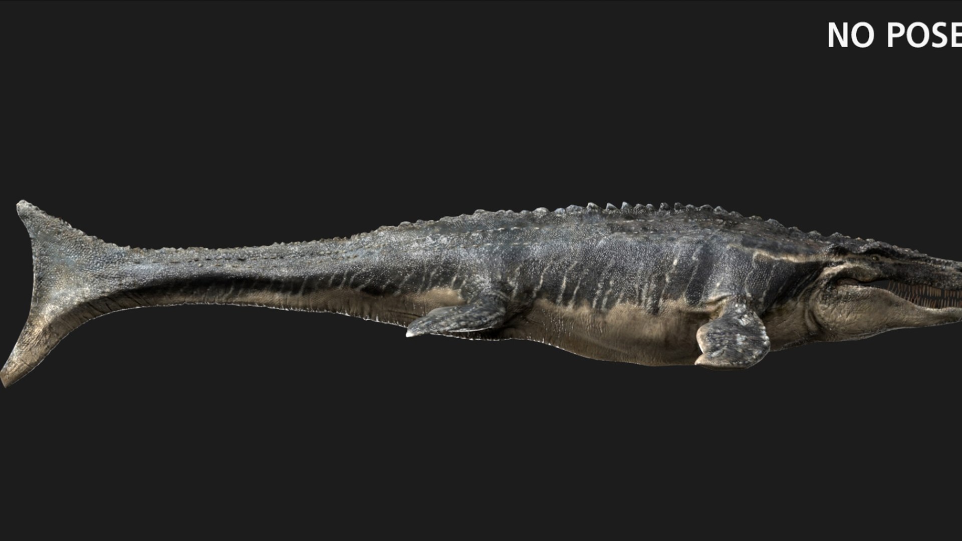 3D Mosa saurus Rigged 3D https://p.turbosquid.com/ts-thumb/br/1KFRuc/SN/03/jpg/1755510089/1920x1080/fit_q87/9cdf447a934b73a3d1b04a68d61f2da3df37c573/03.jpg