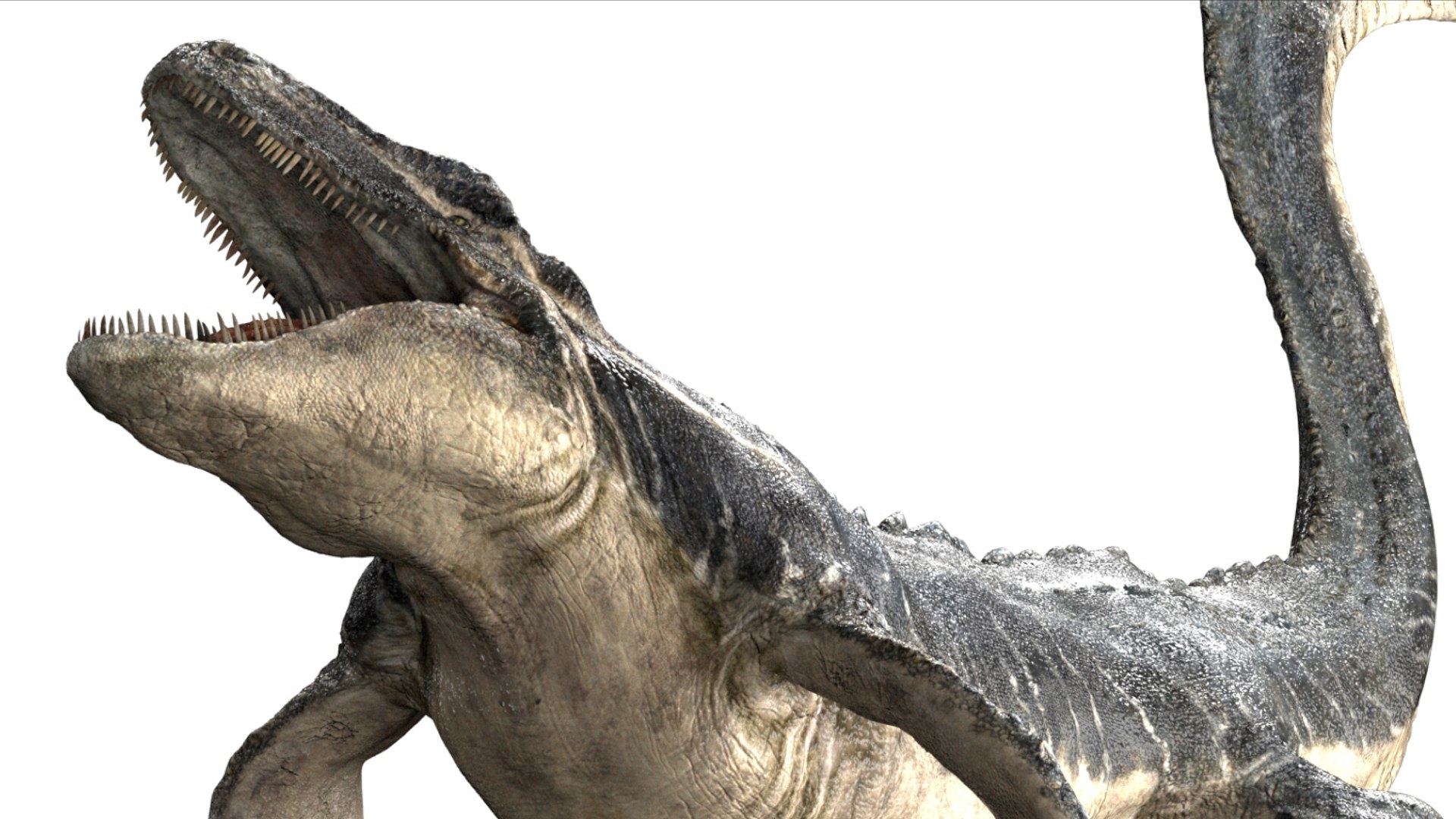 3D Mosa saurus Rigged 3D https://p.turbosquid.com/ts-thumb/br/1KFRuc/VI/06/jpg/1755510091/1920x1080/fit_q87/63ab62f66119efc9fa9b9b9f0bb3aec00fdb5864/06.jpg