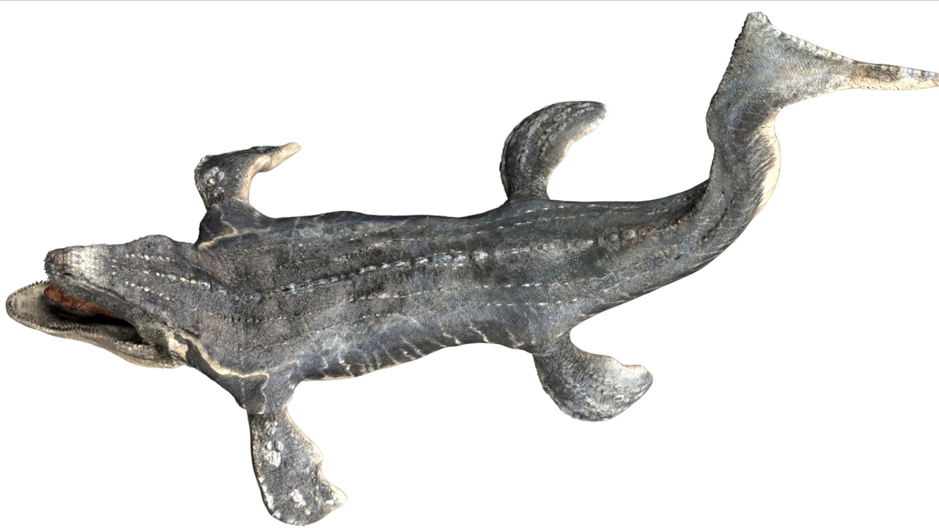 3D Mosa saurus Rigged 3D https://p.turbosquid.com/ts-thumb/br/1KFRuc/aR/07/jpg/1755510091/1920x1080/fit_q87/2f6ba120e09c48ffac1aaca9c400b2f5455740bd/07.jpg