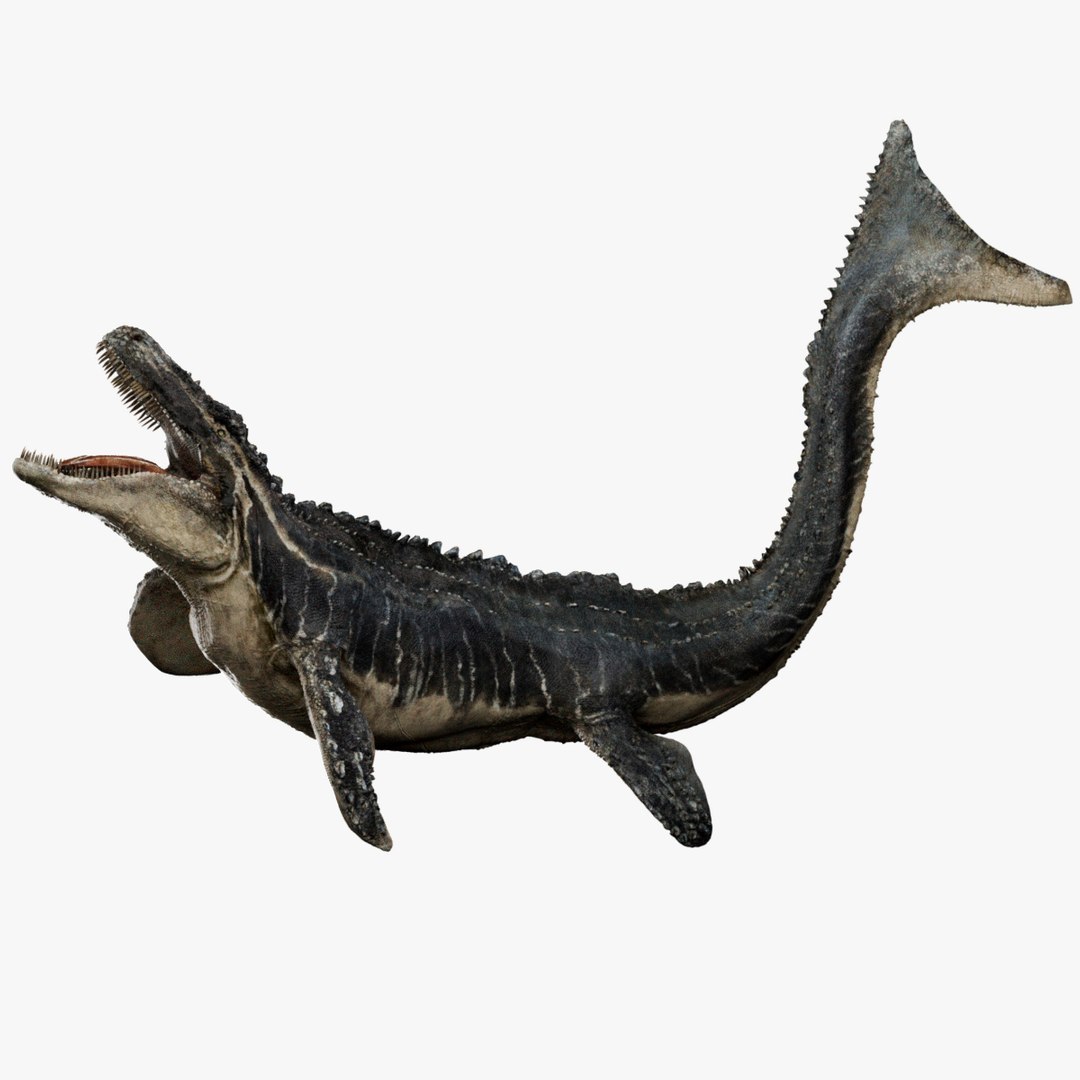 3D Mosa saurus Rigged 3D https://p.turbosquid.com/ts-thumb/br/1KFRuc/d7/01/jpg/1755510316/1920x1080/fit_q87/9dd24619a363ed3b6fe737a3aa66ce81b0b583a9/01.jpg