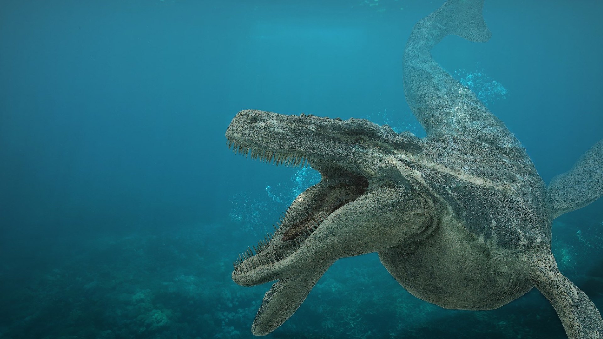 3D Mosa saurus Rigged 3D https://p.turbosquid.com/ts-thumb/br/1KFRuc/j1/02/jpg/1755510088/1920x1080/fit_q87/dfeeb70fcc288b404572aecff0380486ba678830/02.jpg