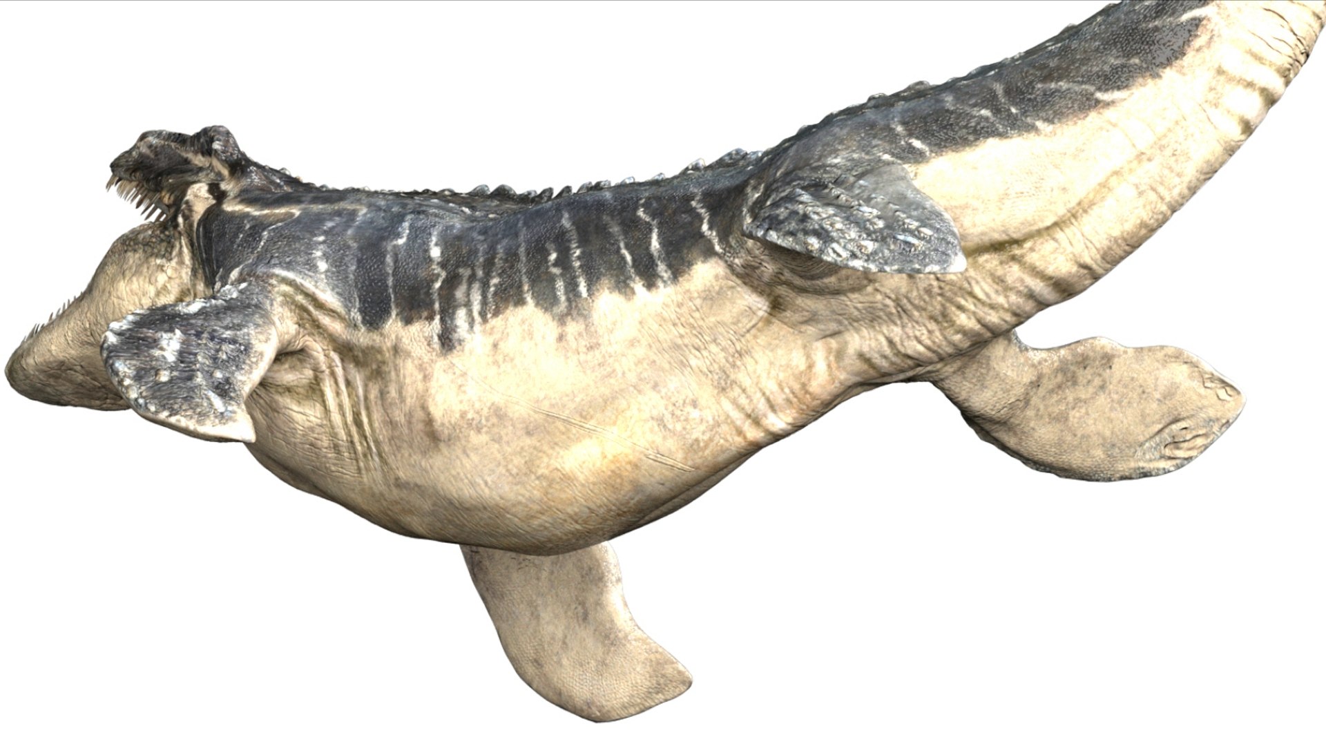 3D Mosa saurus Rigged 3D https://p.turbosquid.com/ts-thumb/br/1KFRuc/me/13/jpg/1755510094/1920x1080/fit_q87/9eaed3bb3c33852a1c4988767a1946b4dfa06074/13.jpg