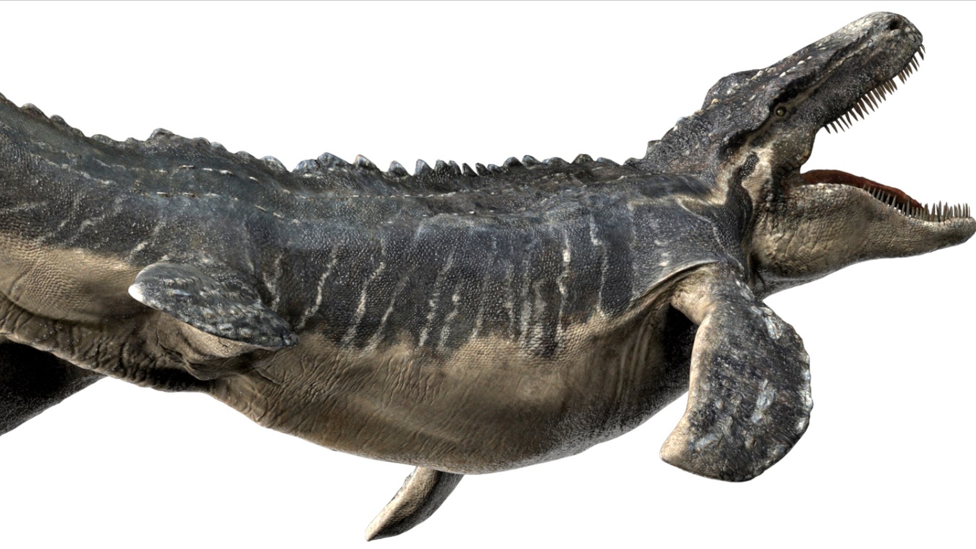 3D Mosa saurus Rigged 3D https://p.turbosquid.com/ts-thumb/br/1KFRuc/pU/05/jpg/1755510090/1920x1080/fit_q87/03e3e25b8720486b73f94bfaa43bf6b03a47f366/05.jpg