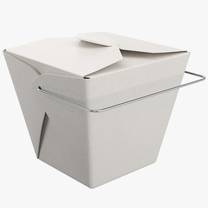 Chinese Food Container Closed