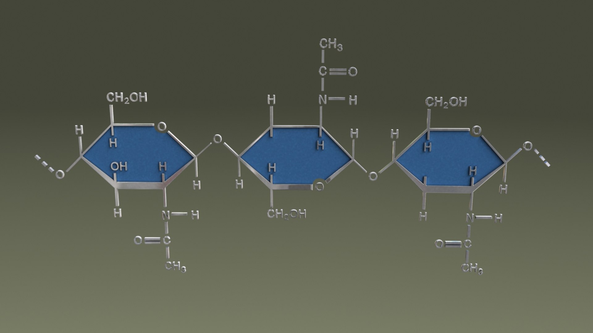 Chitin 3d Obj