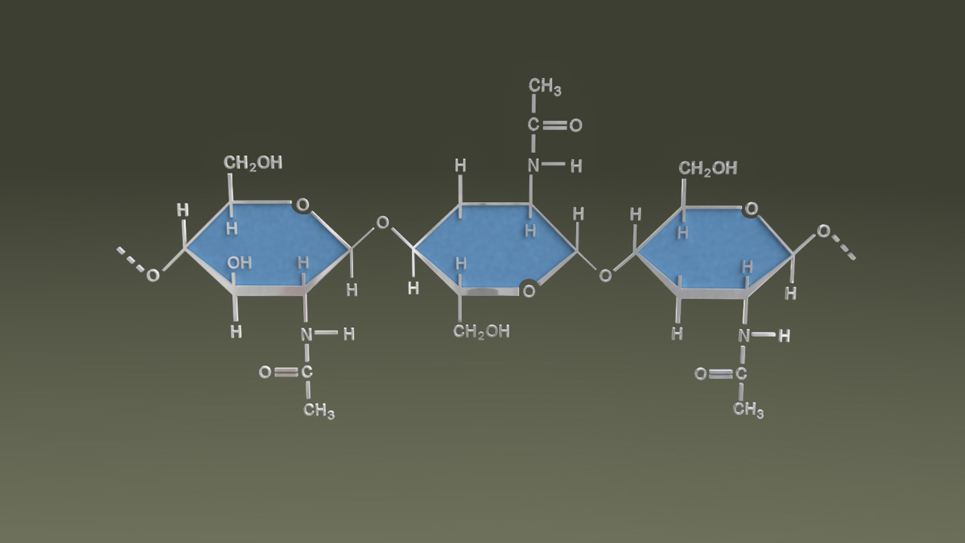 Chitin 3d Obj