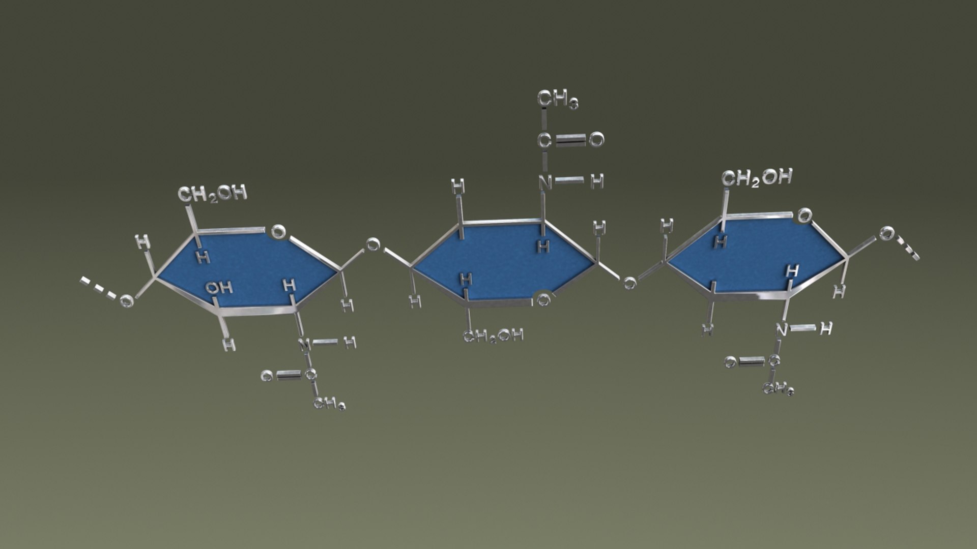 Chitin 3d Obj