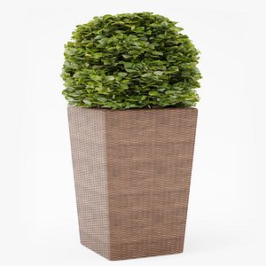 Contemporary Wicker Planter
