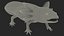 Exotic Pets Rigged Collection 3D model