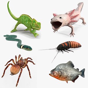 Exotic Pets Rigged Collection 3D model