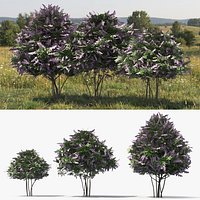 Low Poly Landscape Lilac Bushes Set Purple
