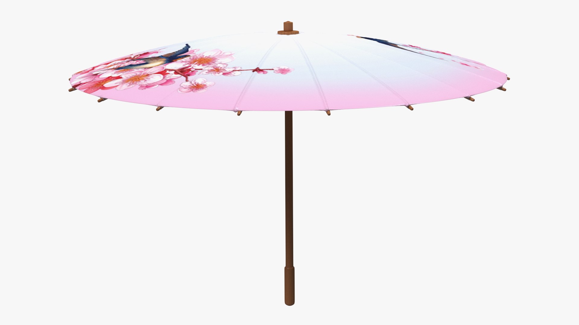 Traditional Chinese Umbrella 3D model preview