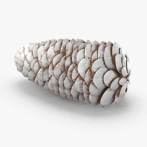 Frosted Pine Cones - 01