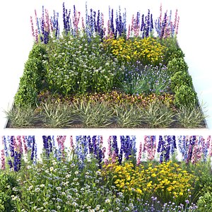 flowerbed flowers 3D model