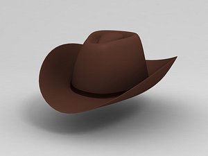 3D cowboy hat