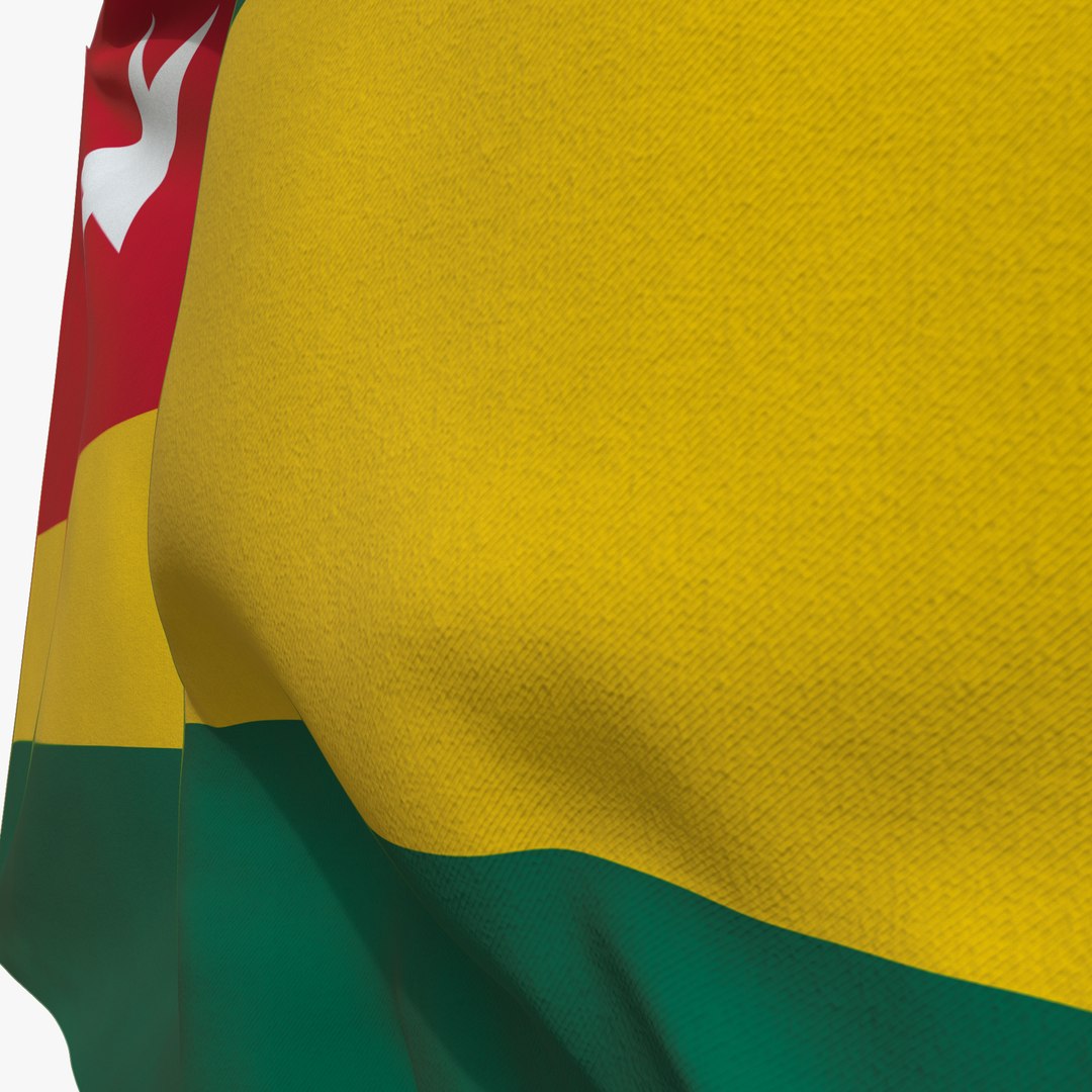 Realistic Animated Flag - Microtexture Rigged - Put your own texture - Def Togo 3D model https://p.turbosquid.com/ts-thumb/br/eEn9Jj/Kg/flag_ps_03/png/1631291977/1920x1080/fit_q87/8a233612f27134b6b9f84d872ad617ef66def8dd/flag_ps_03.jpg
