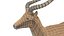 impala antelope 3D model